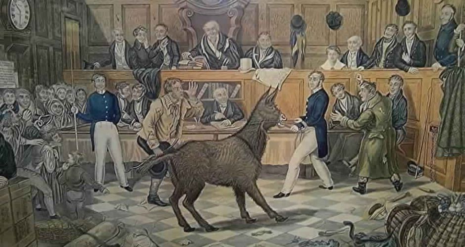 تاريخ مخز لماذا حاكمت أوروبا الحيوانات وأعدمتها منشور